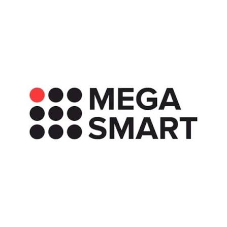 MEGA SMART